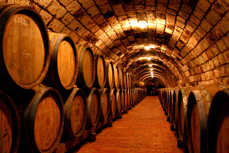 Sudy ve sklípku v Tokaji